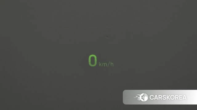 Genesis G80 id 5029515 из Кореи 7
