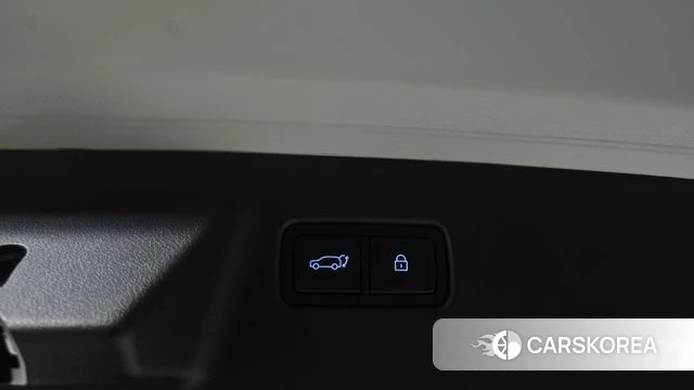 Hyundai Santa Fe (MX5) id 4783375 из Кореи 7