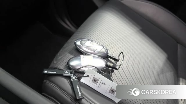Hyundai Santa Fe (MX5) id 5011314 из Кореи 7