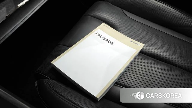 Hyundai Palisade id 4929805 из Кореи 7