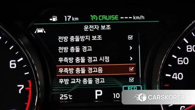 Kia The New Carnival id 4967522 из Кореи 7