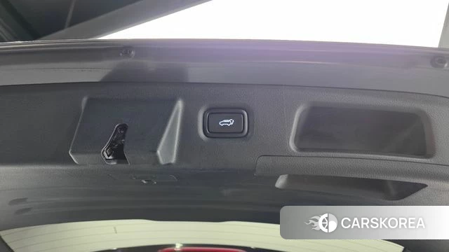Hyundai Santa Fe TM id 5029169 из Кореи 7