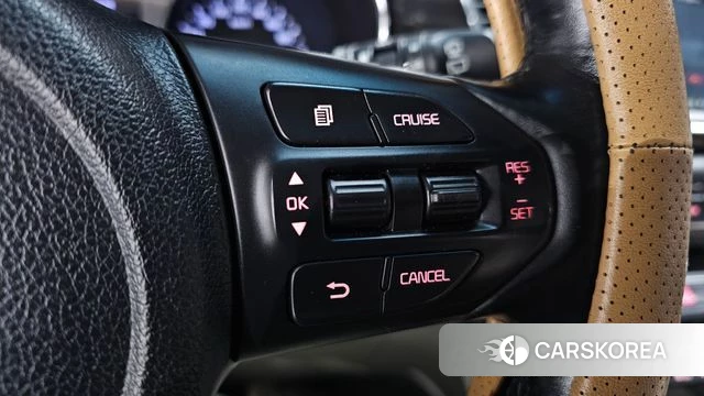 Kia The New Carnival id 4998745 из Кореи 8