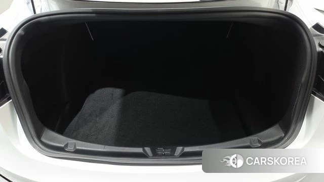 Tesla Model 3 id 4864831 из Кореи 8