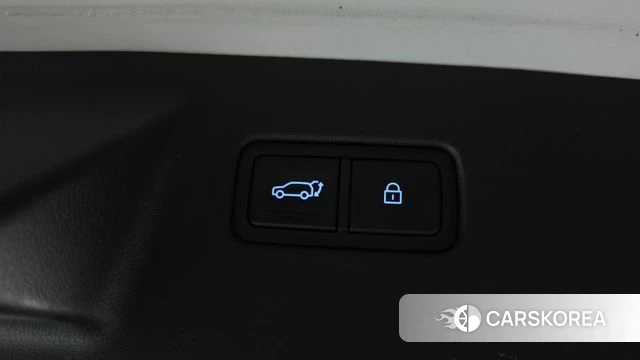 Hyundai Santa Fe (MX5) id 4792081 из Кореи 8
