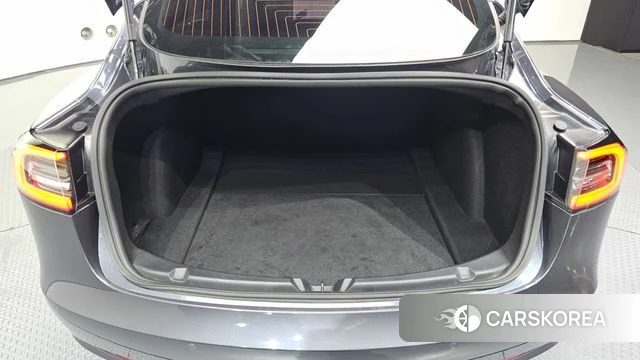Tesla Model 3 id 4959624 из Кореи 8