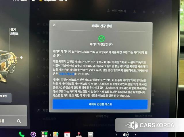 Tesla Model 3 id 4865005 из Кореи 8