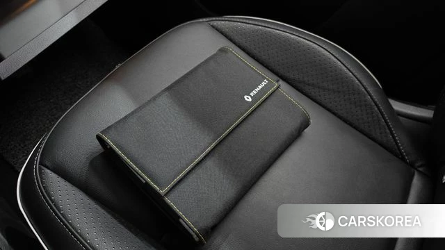 Renault Korea (Samsung) Capture id 4936897 из Кореи 8