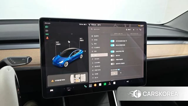 Tesla Model 3 id 4794150 из Кореи 8