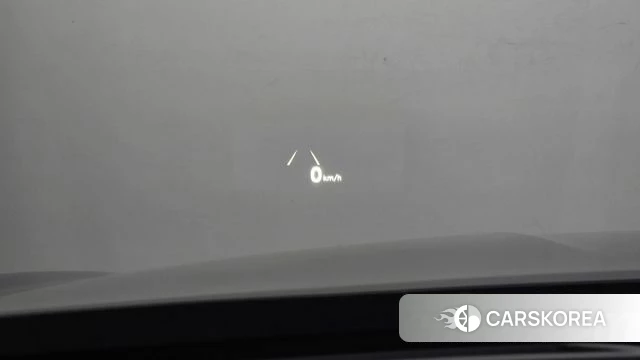 Genesis G90 id 4930117 из Кореи 8