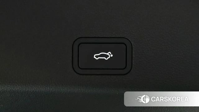 Renault Korea (Samsung) Grand Coleos id 4928292 из Кореи 8