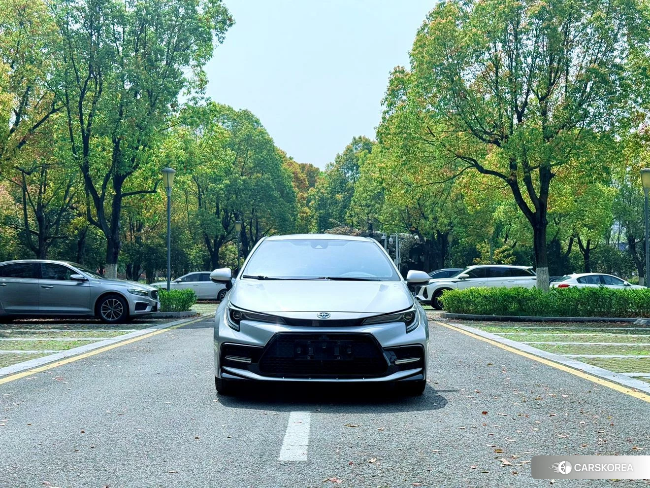 Toyota Levin 2020 Серебристо-серый из Китая, фото 6