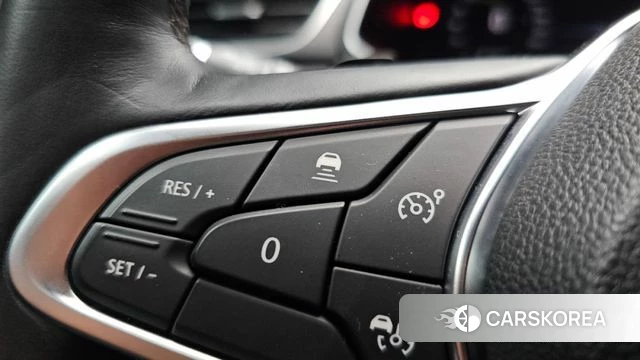 Renault Korea (Samsung) Capture id 5013386 из Кореи 8