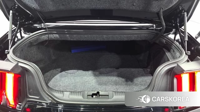 Ford Mustang id 5041749 из Кореи 8