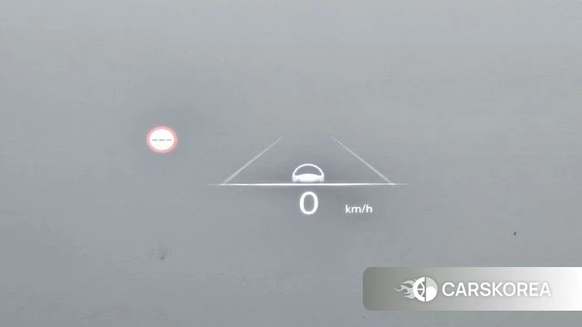 Genesis G90 (RS4) id 5039992 из Кореи 9