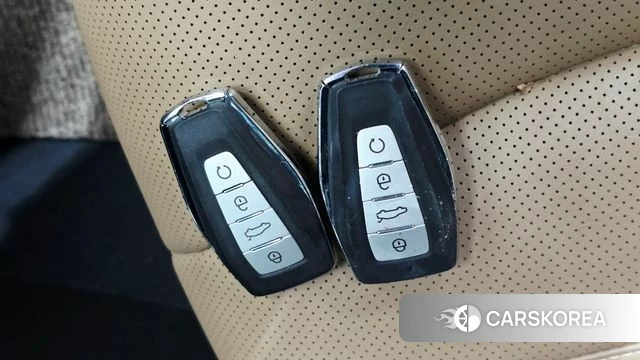 Renault Korea (Samsung) Grand Coleos id 4928293 из Кореи 9