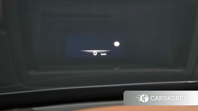 Genesis G80 (RG3) id 4976163 из Кореи 9