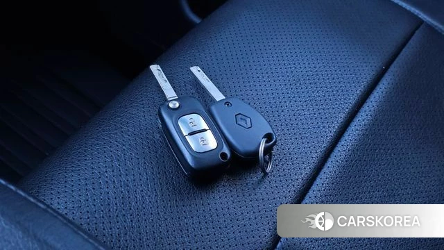 Renault Korea (Samsung) Master id 5023774 из Кореи 9