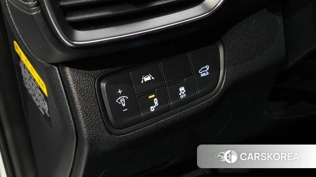 Hyundai Santa Fe TM id 5003952 из Кореи 9