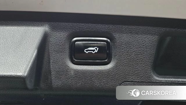 Hyundai Santa Fe TM id 5013483 из Кореи 9
