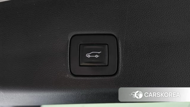 Chevrolet (GM Daewoo) Trailblazer id 5028223 из Кореи 9