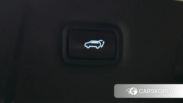 Hyundai Santa Fe TM id 5018826 из Кореи 9