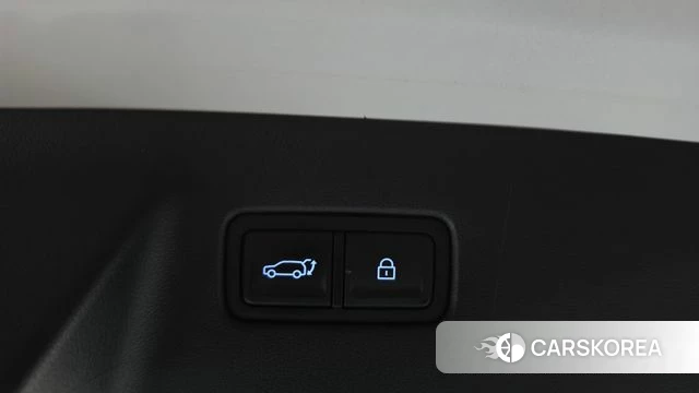 Hyundai Santa Fe (MX5) id 5026596 из Кореи 9