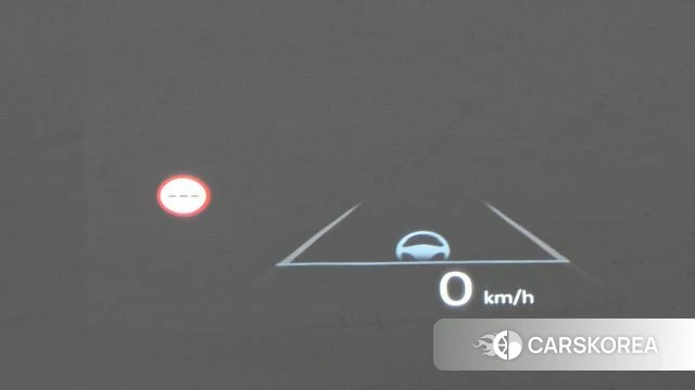 Hyundai Santa Fe (MX5) id 4720057 из Кореи 10
