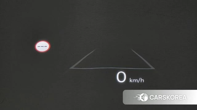Hyundai Santa Fe (MX5) id 5025828 из Кореи 10