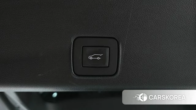 Chevrolet (GM Daewoo) Trailblazer id 4996395 из Кореи 10