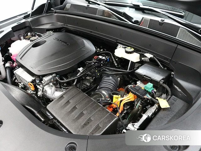 Renault Korea (Samsung) Filant id 4589612 из Кореи 10