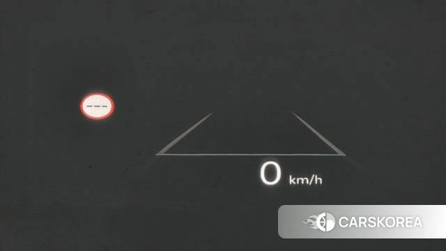 Hyundai Santa Fe (MX5) id 5015977 из Кореи 10