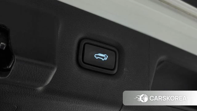 Hyundai The New Santa Fe id 5017954 из Кореи 10
