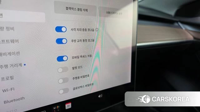 Tesla Model 3 id 4872052 из Кореи 10
