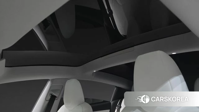 Tesla Model 3 id 5021308 из Кореи 10