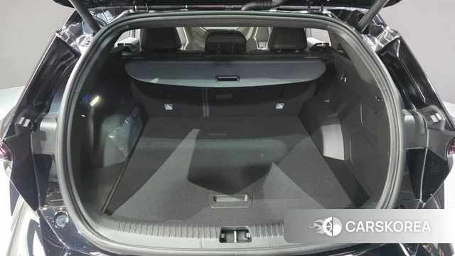 Renault Korea (Samsung) Filant id 4897581 из Кореи 10