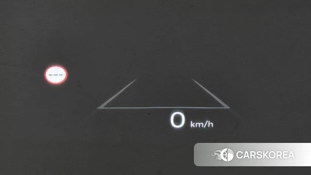 Hyundai Santa Fe (MX5) id 5001818 из Кореи 10