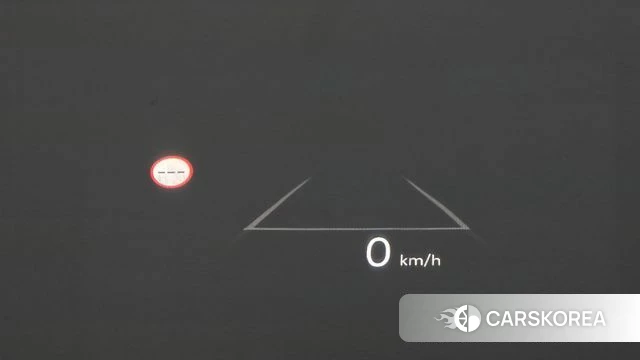 Hyundai Santa Fe (MX5) id 4980379 из Кореи 10