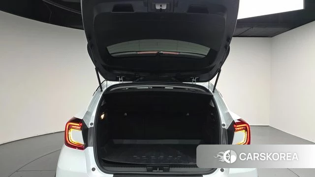 Renault Korea (Samsung) Capture id 5041202 из Кореи 11