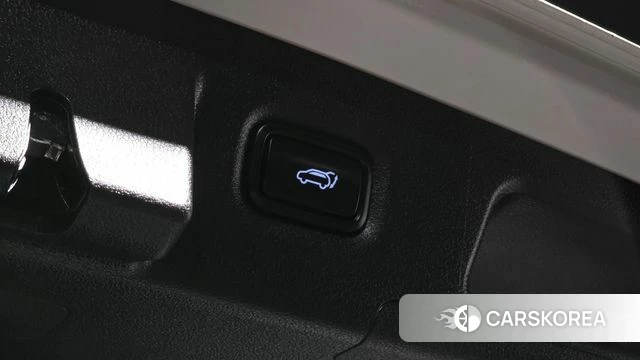 Hyundai Santa Fe TM id 4983146 из Кореи 11