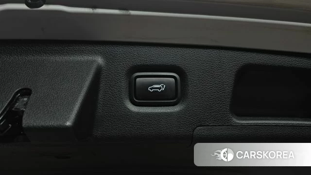 Hyundai Santa Fe TM id 4988230 из Кореи 11