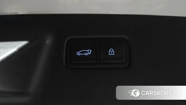 Hyundai Santa Fe (MX5) id 3701052 из Кореи 11