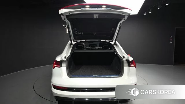 Audi e-Tron id 4921622 из Кореи 11