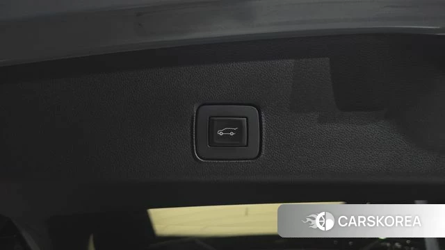 Chevrolet (GM Daewoo) Trailblazer id 5023167 из Кореи 11