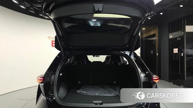 Renault Korea (Samsung) Filant id 4995251 из Кореи 11