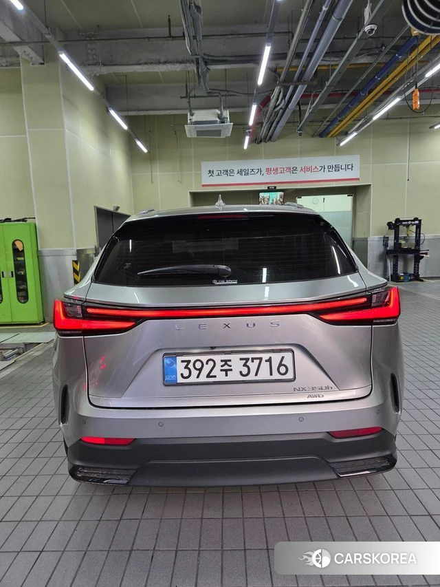 Lexus NX350h Second generation 2025 Серебристо-серый из Кореи, фото 4