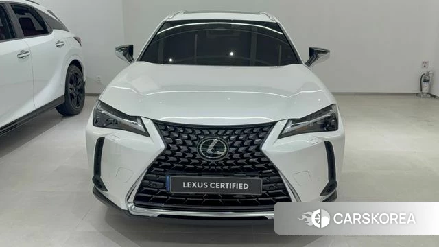 Lexus UX300h 2025 Белый из Кореи, фото 5