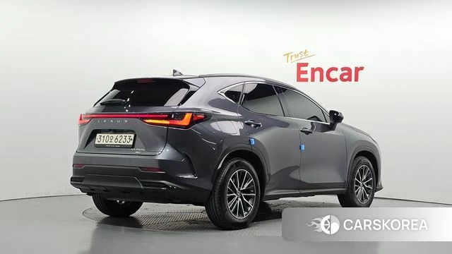 Lexus NX450h + 2nd generation id 4958510 из Кореи 12