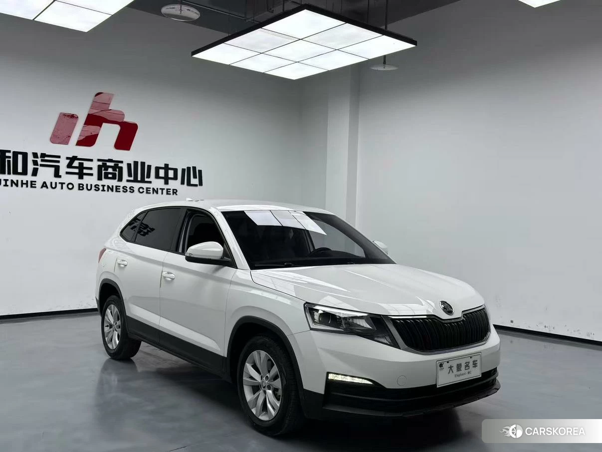 Skoda Kamiq 2020 Белый из Китая, фото 5