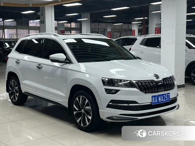 Skoda Karoq 2023 Белый из Китая, фото 5